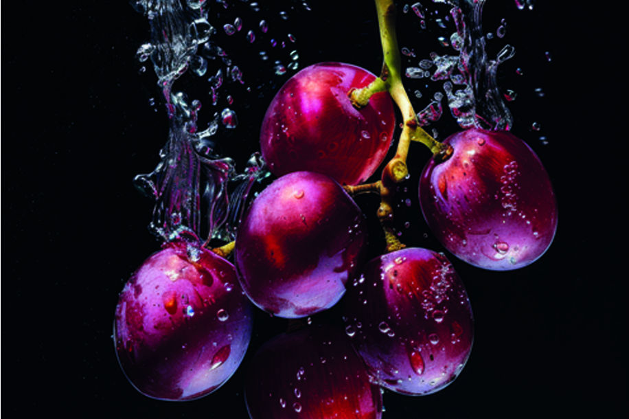 Vignobles en Scène 2025 : le vin fait son show dans toute la France